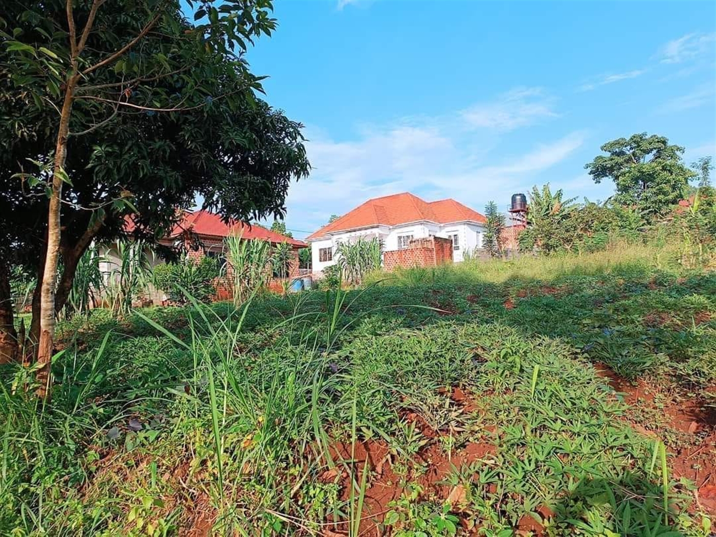 Residential Land for sale in Misindye Mukono