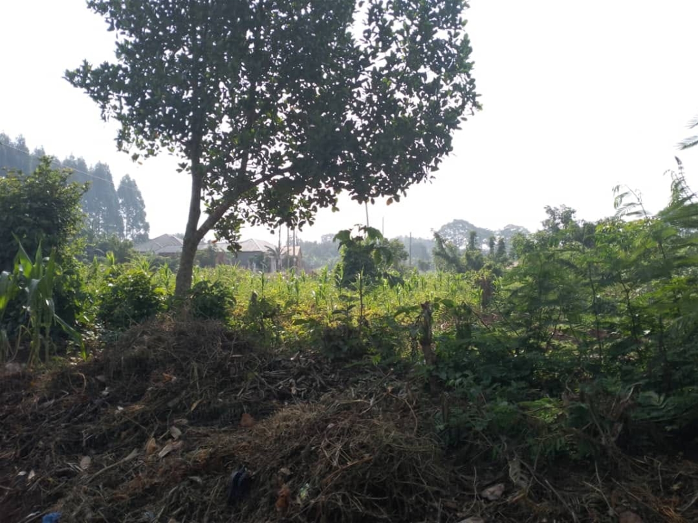 Multipurpose Land for sale in Kiwenda Wakiso