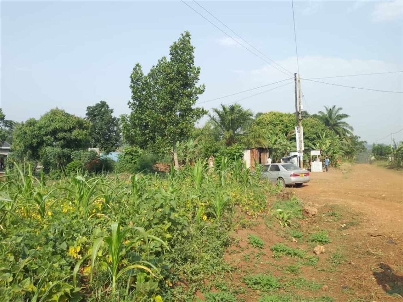 Multipurpose Land for sale in Kiwenda Wakiso