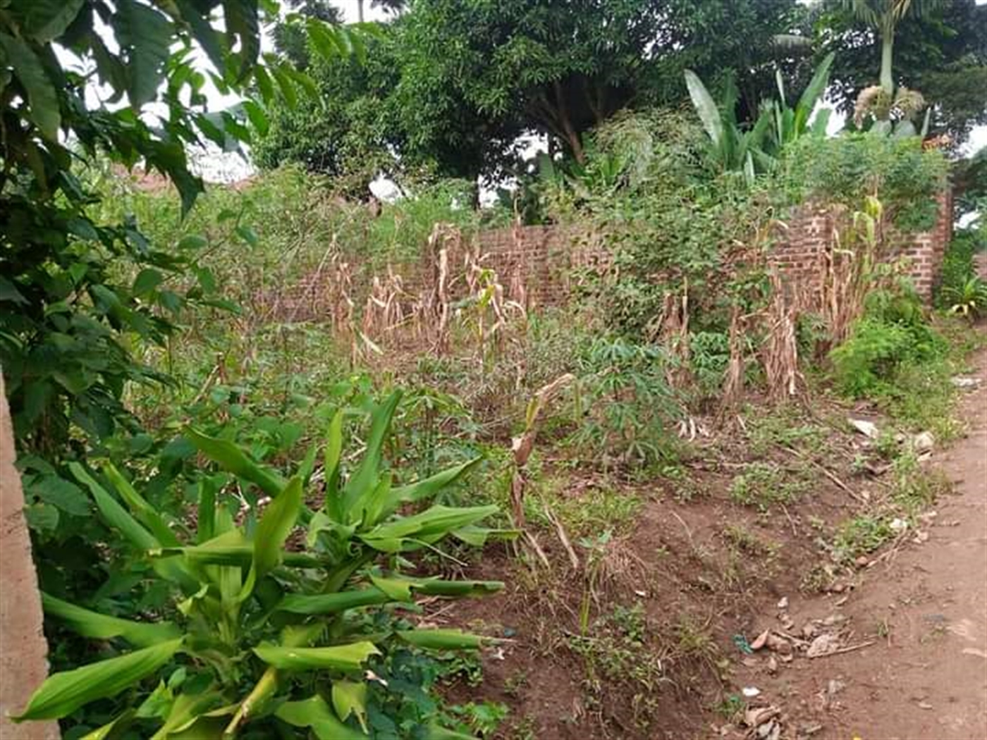 Residential Land for sale in Sonde Mukono