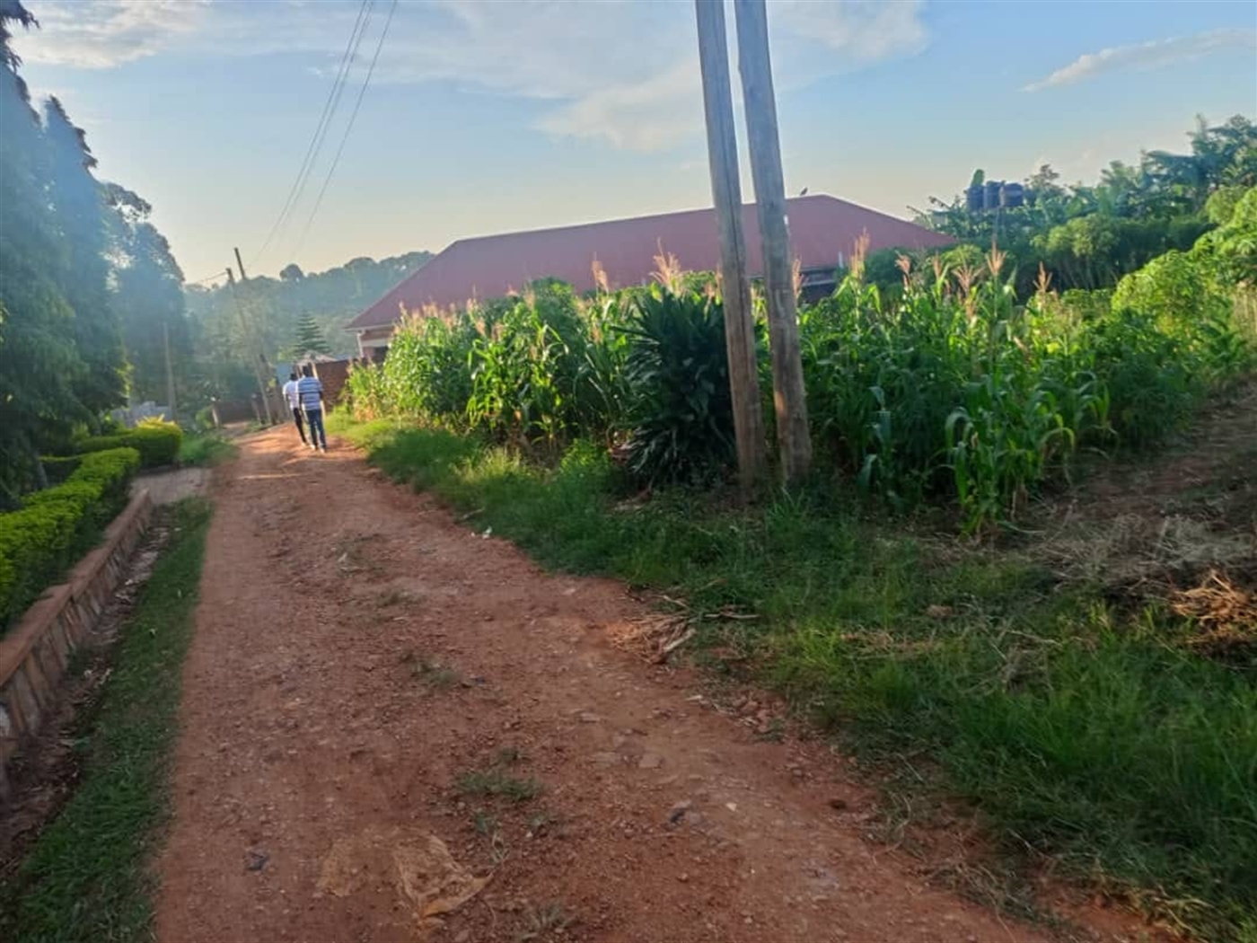 Residential Land for sale in Namugongo Wakiso