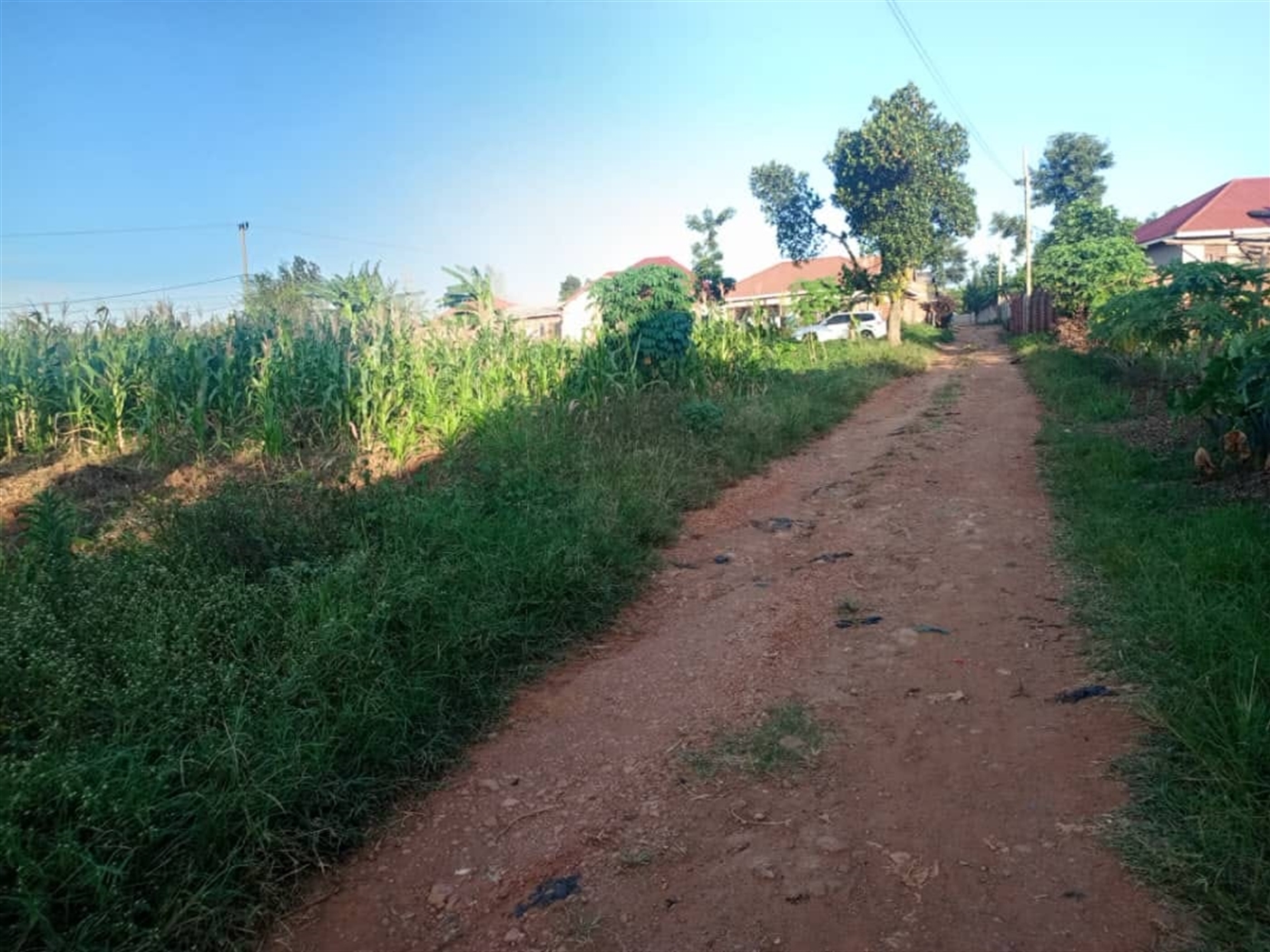 Residential Land for sale in Namugongo Wakiso