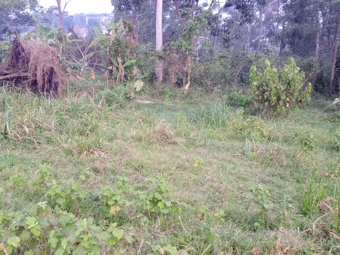 Multipurpose Land for sale in Matugga Wakiso