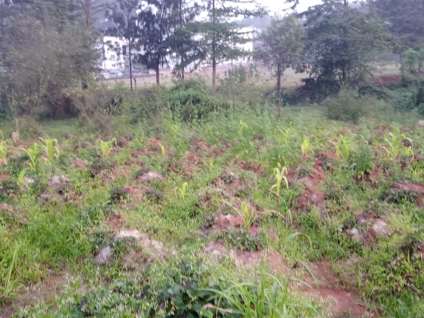 Multipurpose Land for sale in Matugga Wakiso