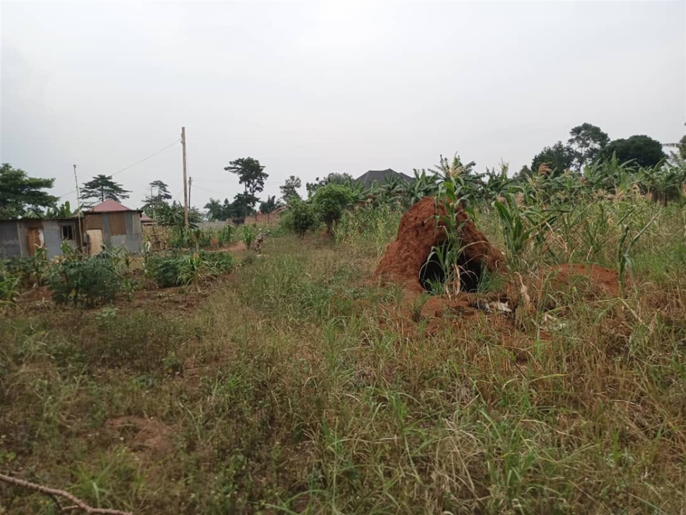 Multipurpose Land for sale in Busukuma Wakiso