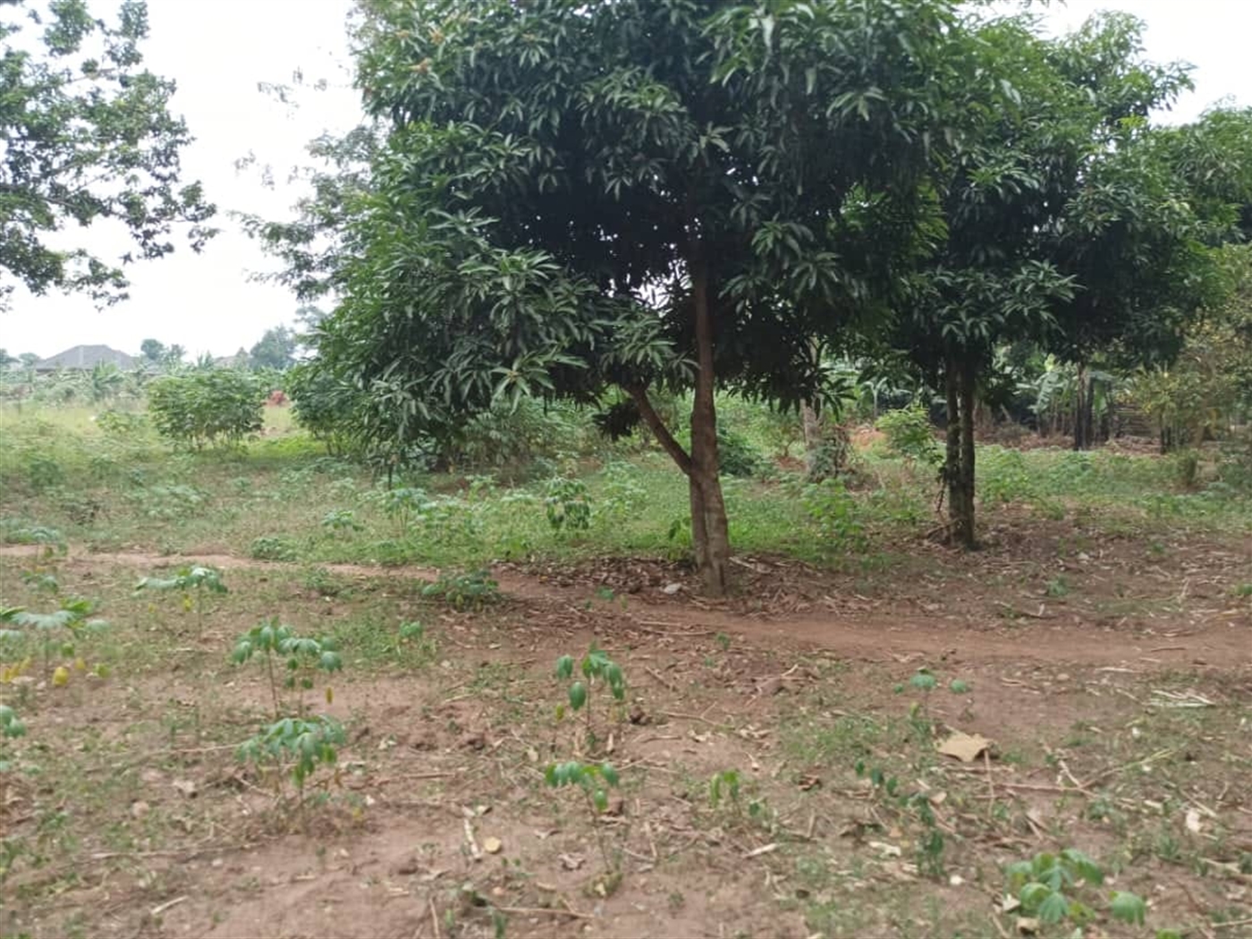 Multipurpose Land for sale in Busukuma Wakiso