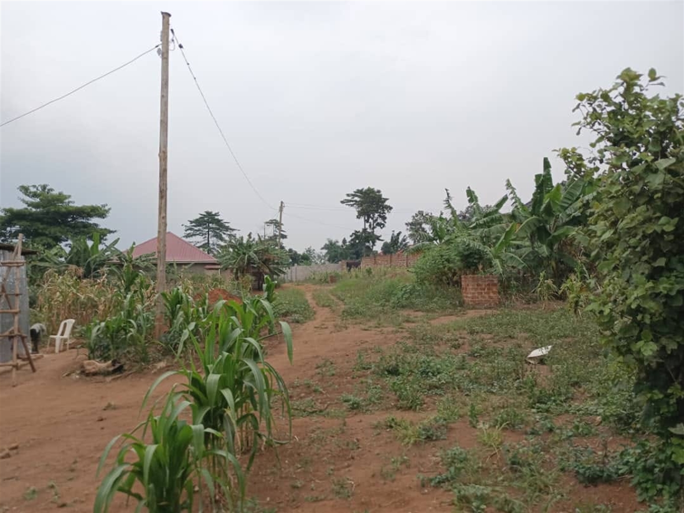 Multipurpose Land for sale in Busukuma Wakiso