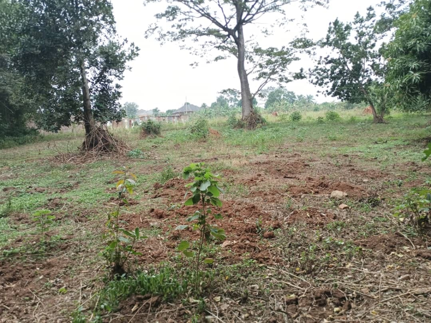 Multipurpose Land for sale in Busukuma Wakiso