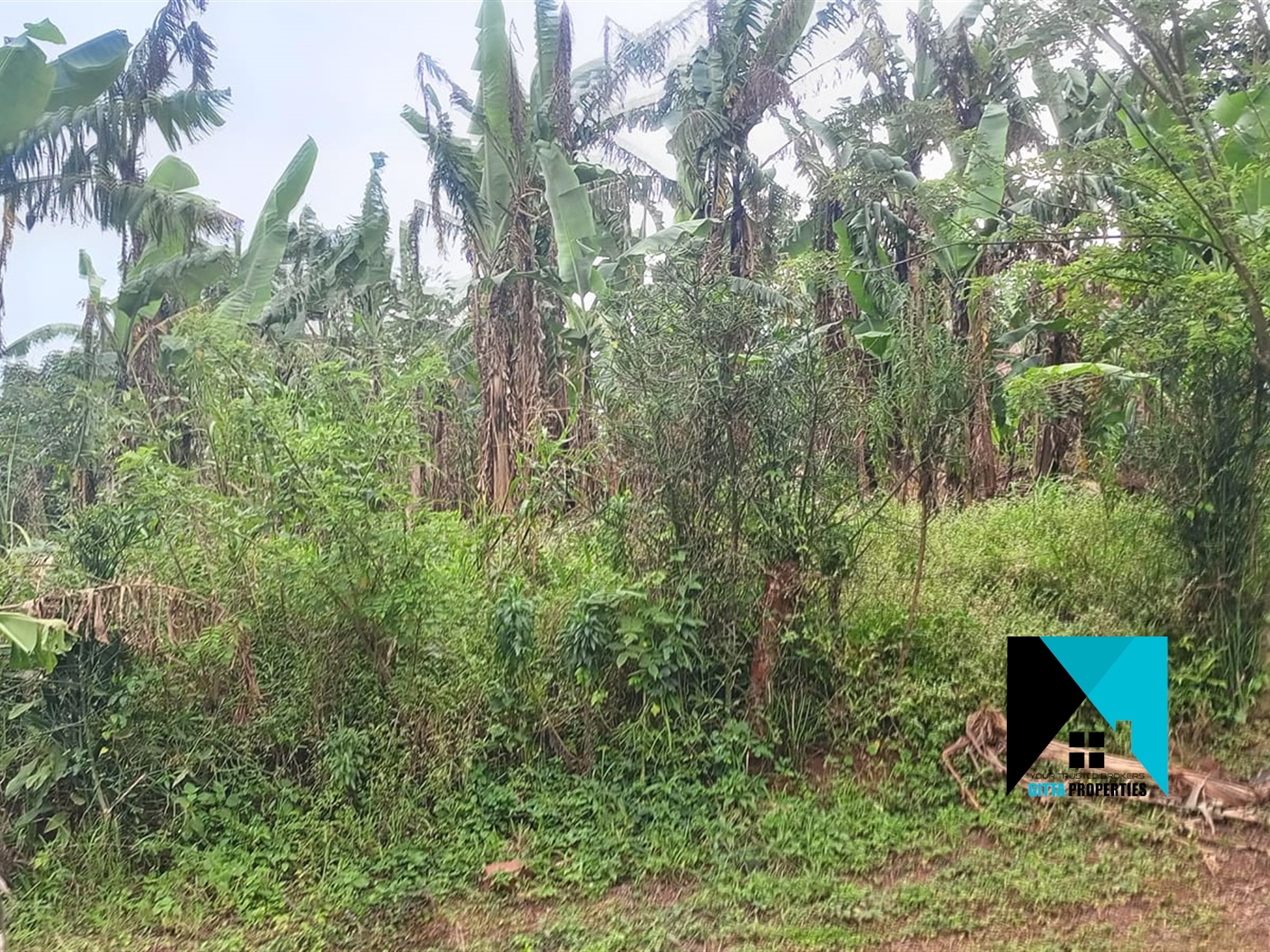 Multipurpose Land for sale in Kasangati Wakiso