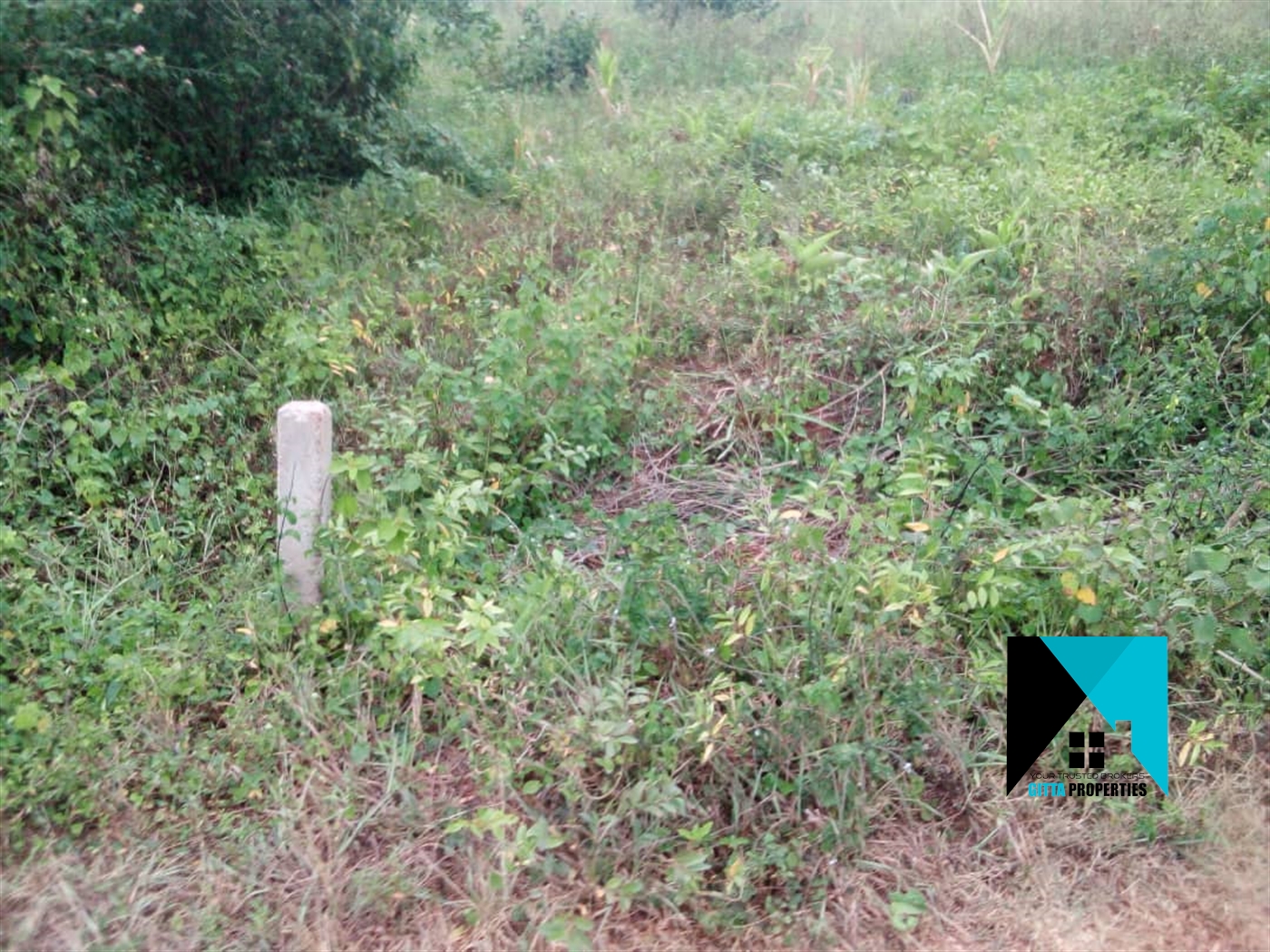 Residential Land for sale in Kabembe Mukono