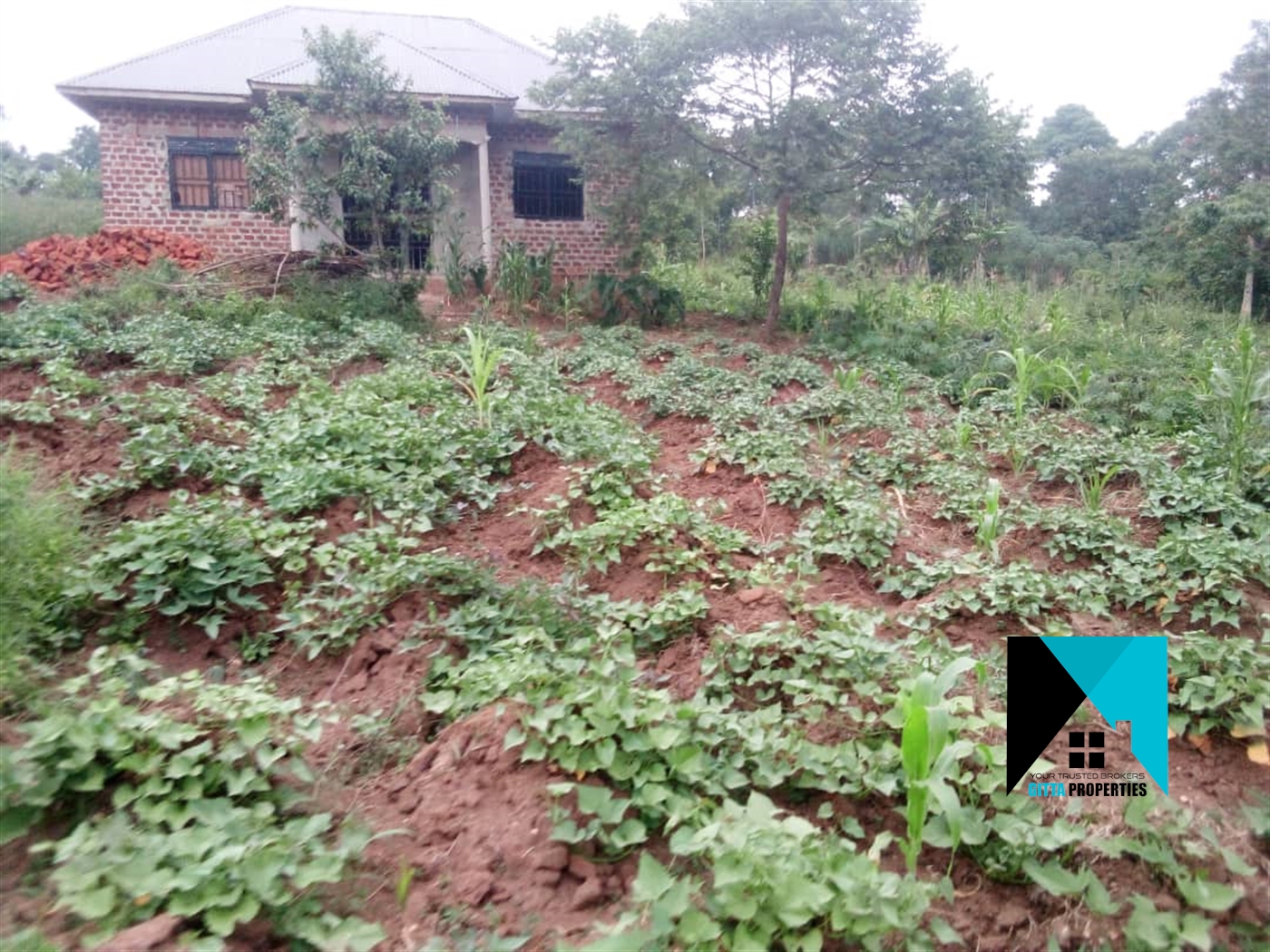 Residential Land for sale in Kabembe Mukono