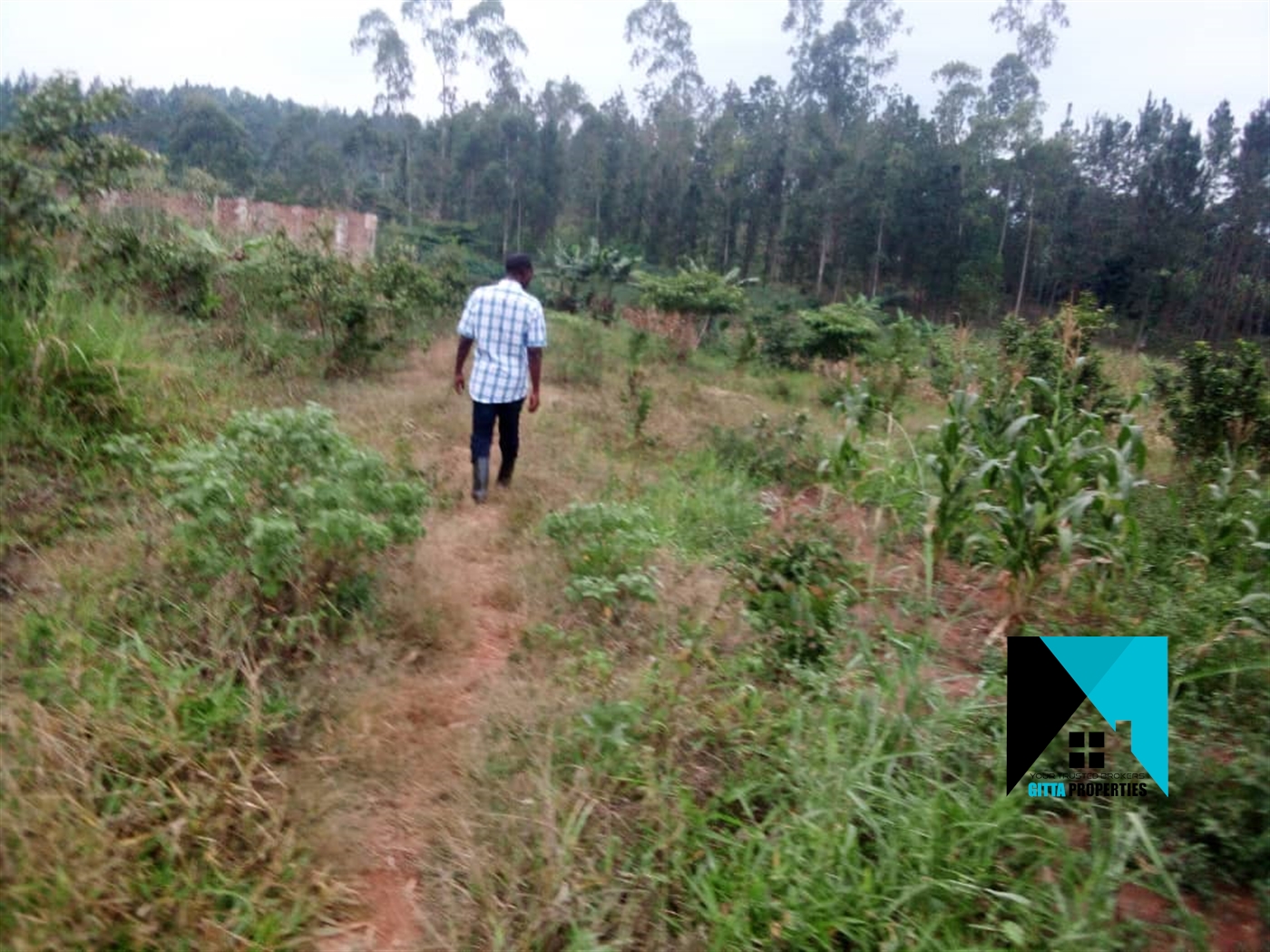 Residential Land for sale in Kabembe Mukono