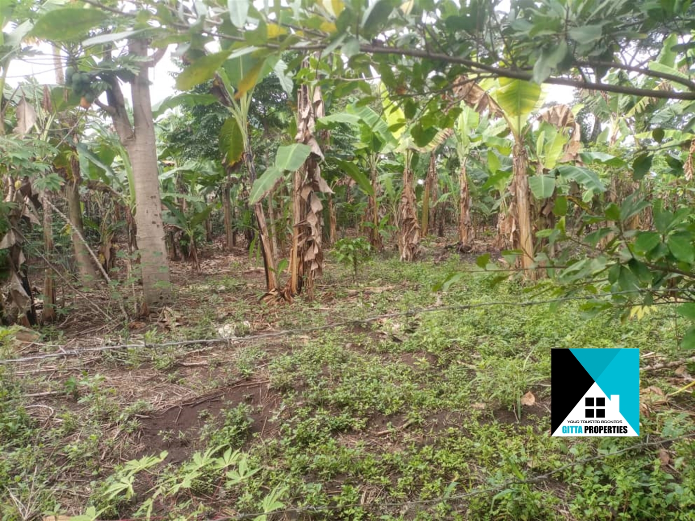 Agricultural Land for sale in Nabutaka Wakiso