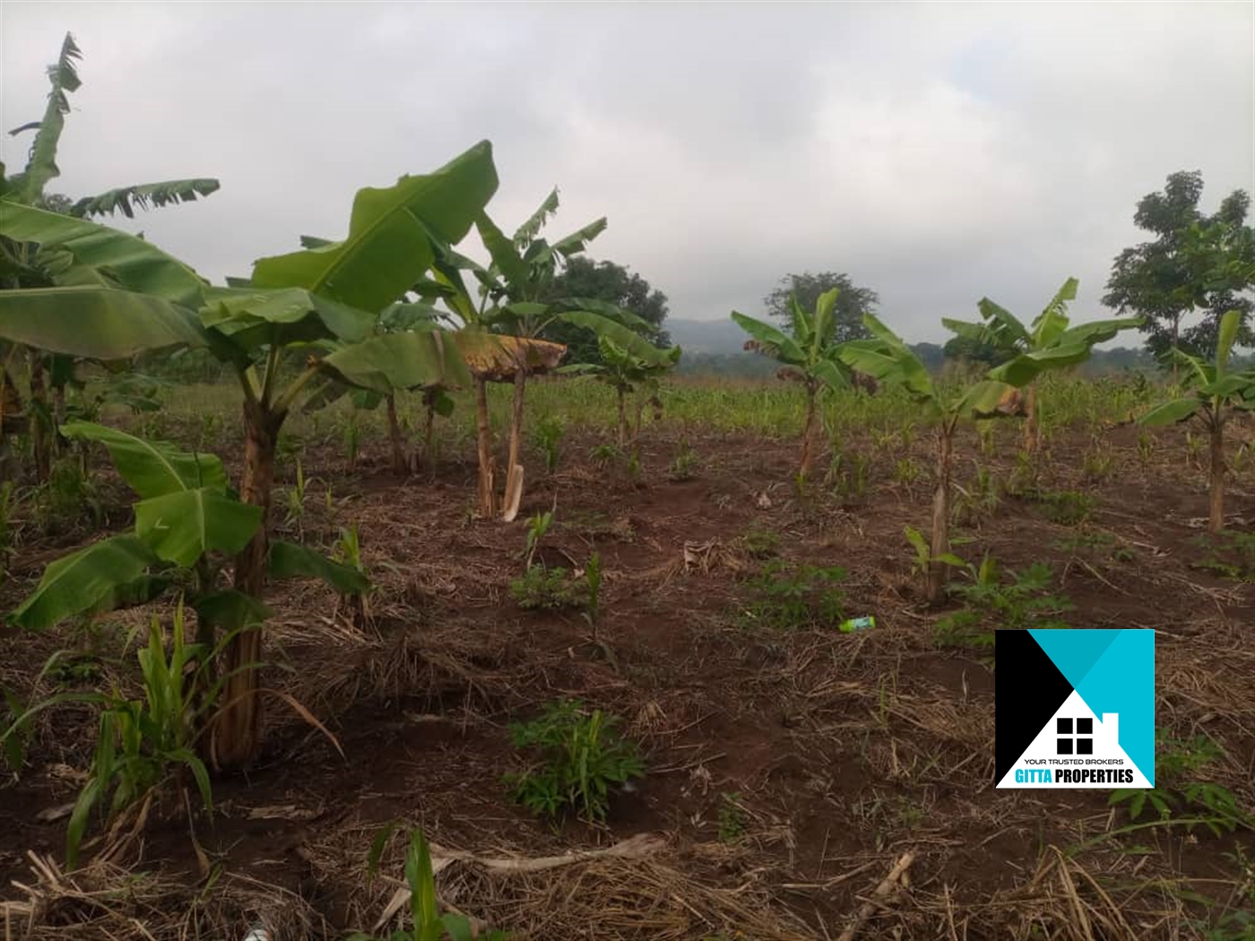 Agricultural Land for sale in Nabutaka Wakiso