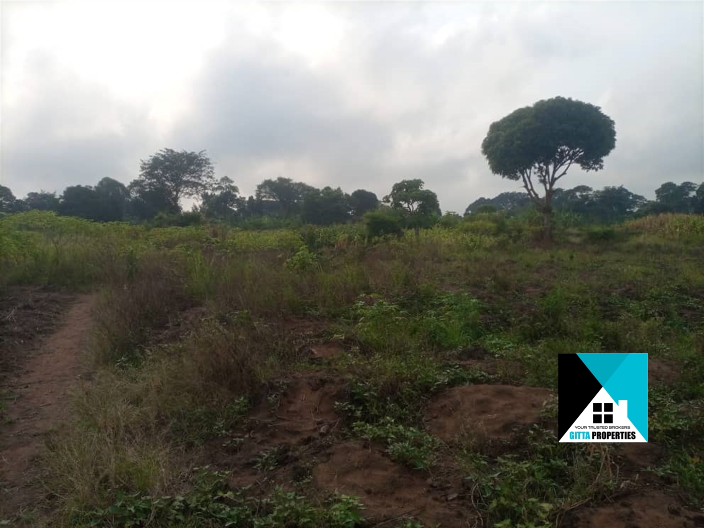 Agricultural Land for sale in Nabutaka Wakiso