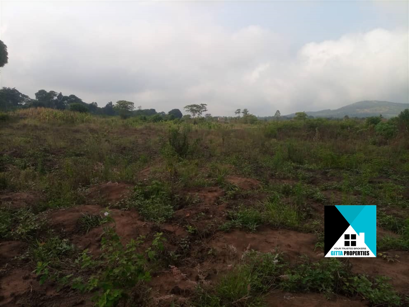 Agricultural Land for sale in Nabutaka Wakiso