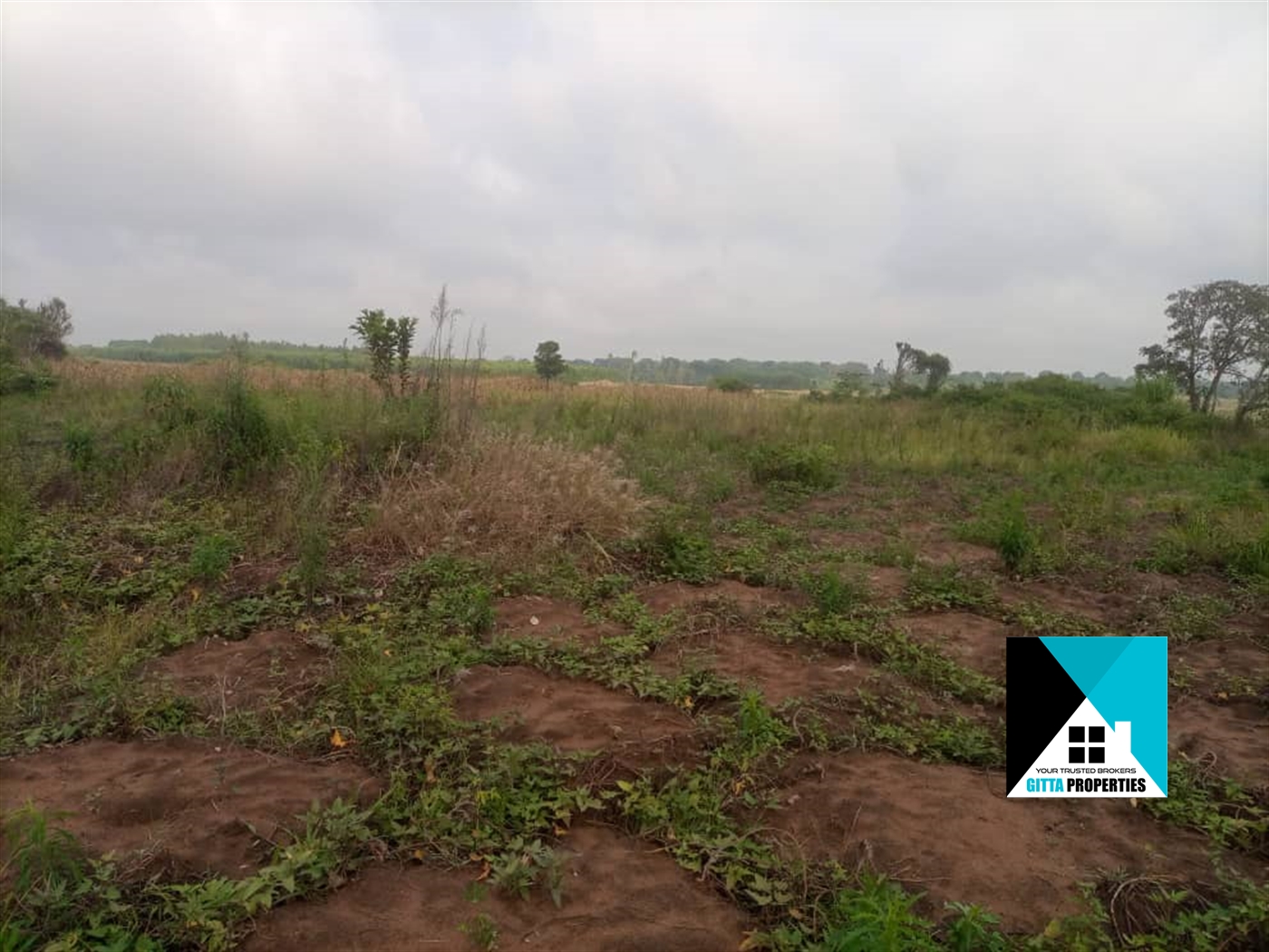 Agricultural Land for sale in Nabutaka Wakiso