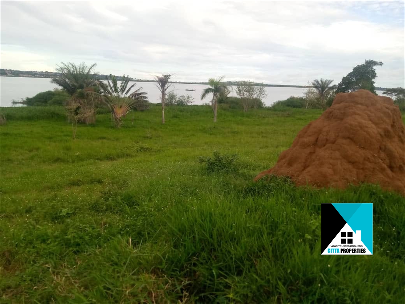 Multipurpose Land for sale in Buwaya Mukono