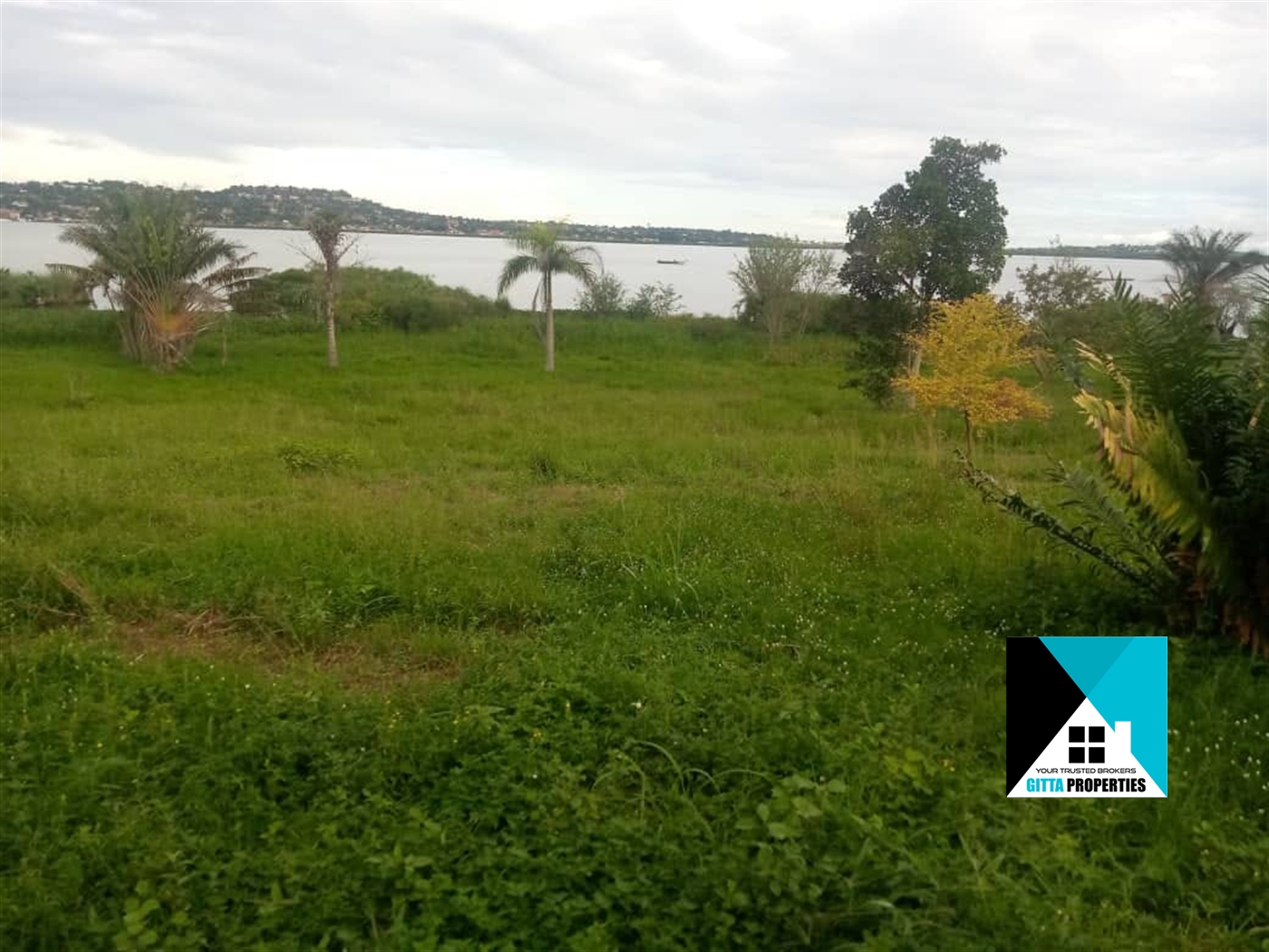 Multipurpose Land for sale in Buwaya Mukono