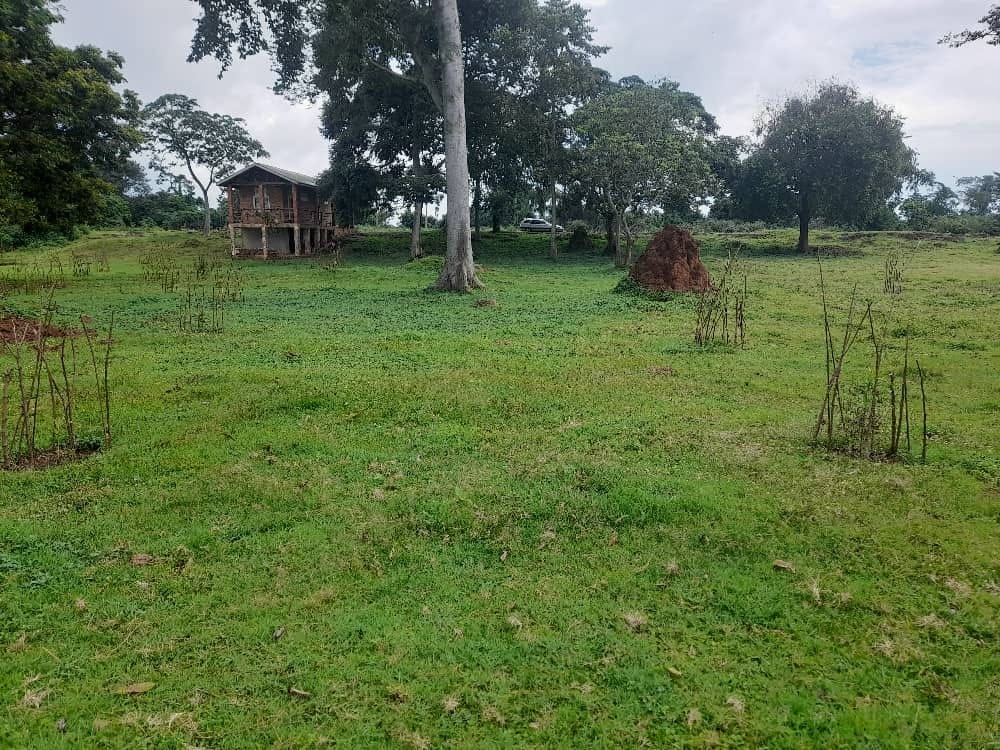 Multipurpose Land for sale in Katosi Mukono