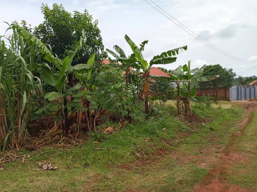 Bungalow for sale in Namusela Wakiso