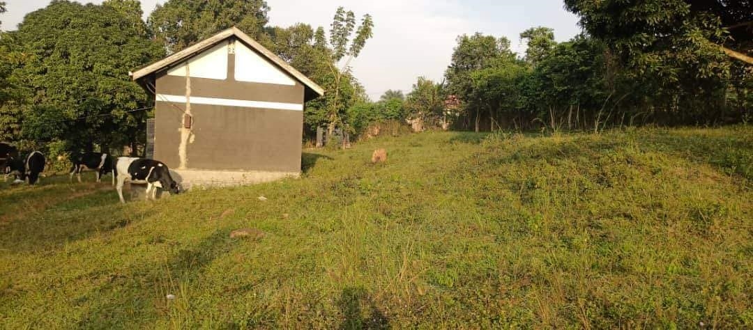 Multipurpose Land for sale in Kitemu Wakiso