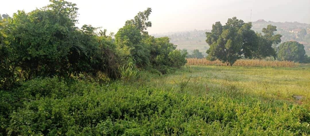 Multipurpose Land for sale in Kitemu Wakiso