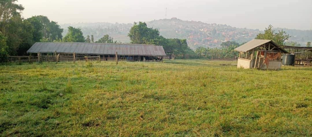 Multipurpose Land for sale in Kitemu Wakiso