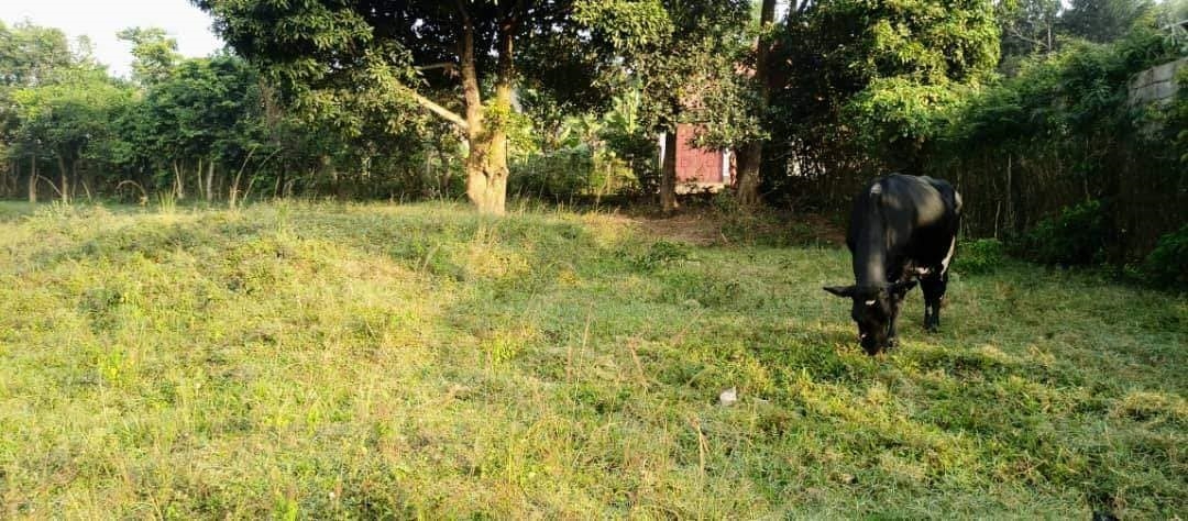 Multipurpose Land for sale in Kitemu Wakiso