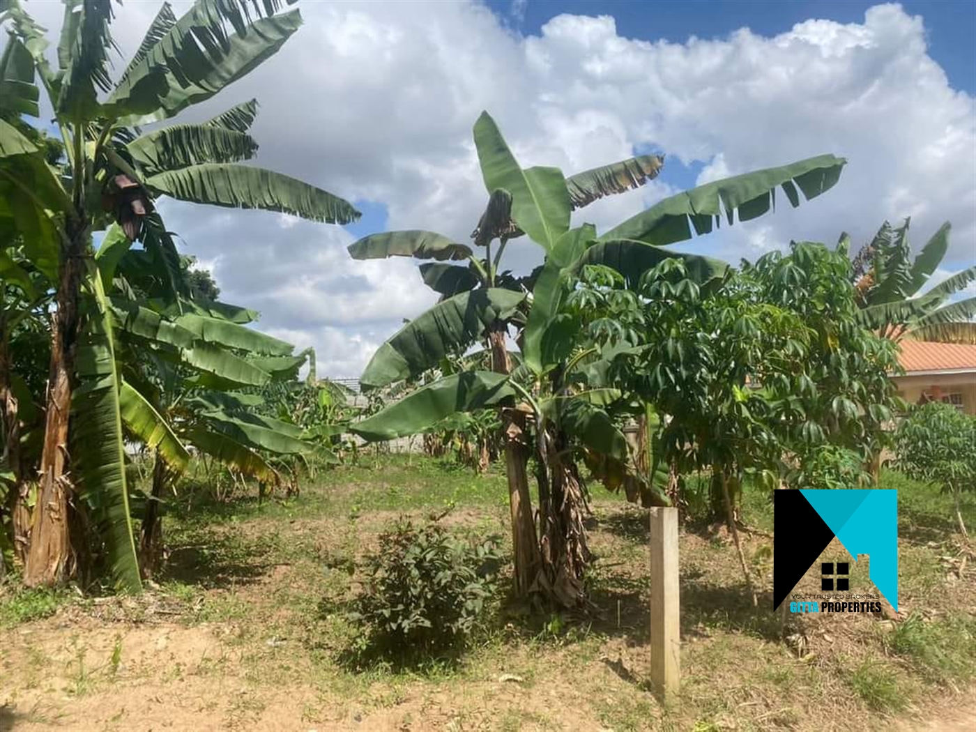 Residential Land for sale in Shimoni Wakiso