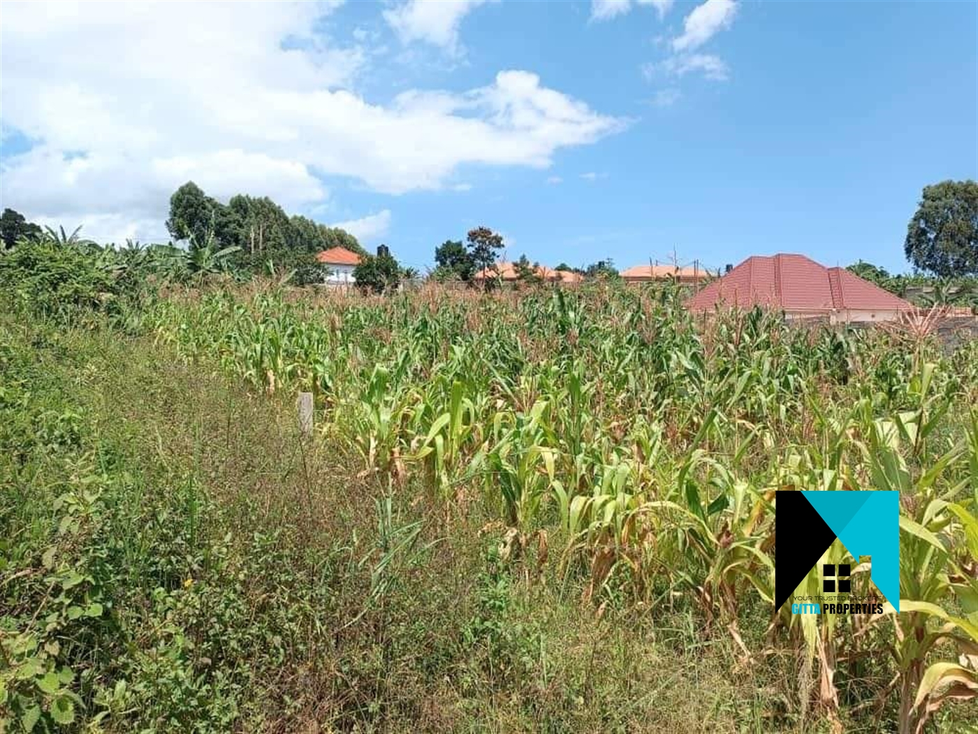 Multipurpose Land for sale in Nabusugwe Wakiso