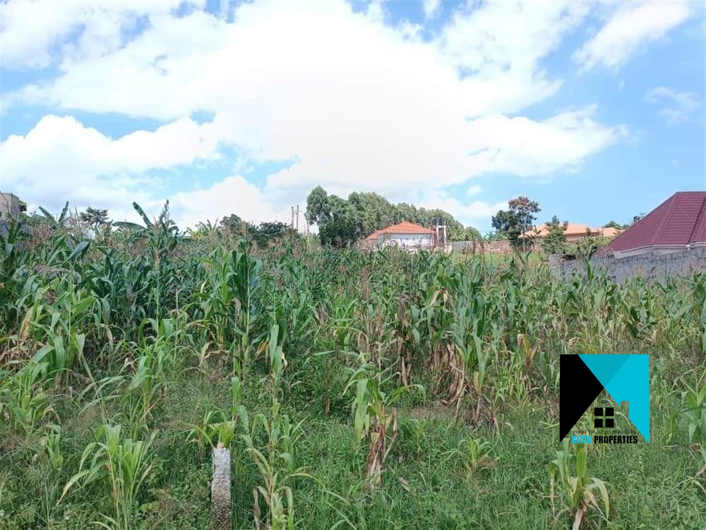 Multipurpose Land for sale in Nabusugwe Wakiso