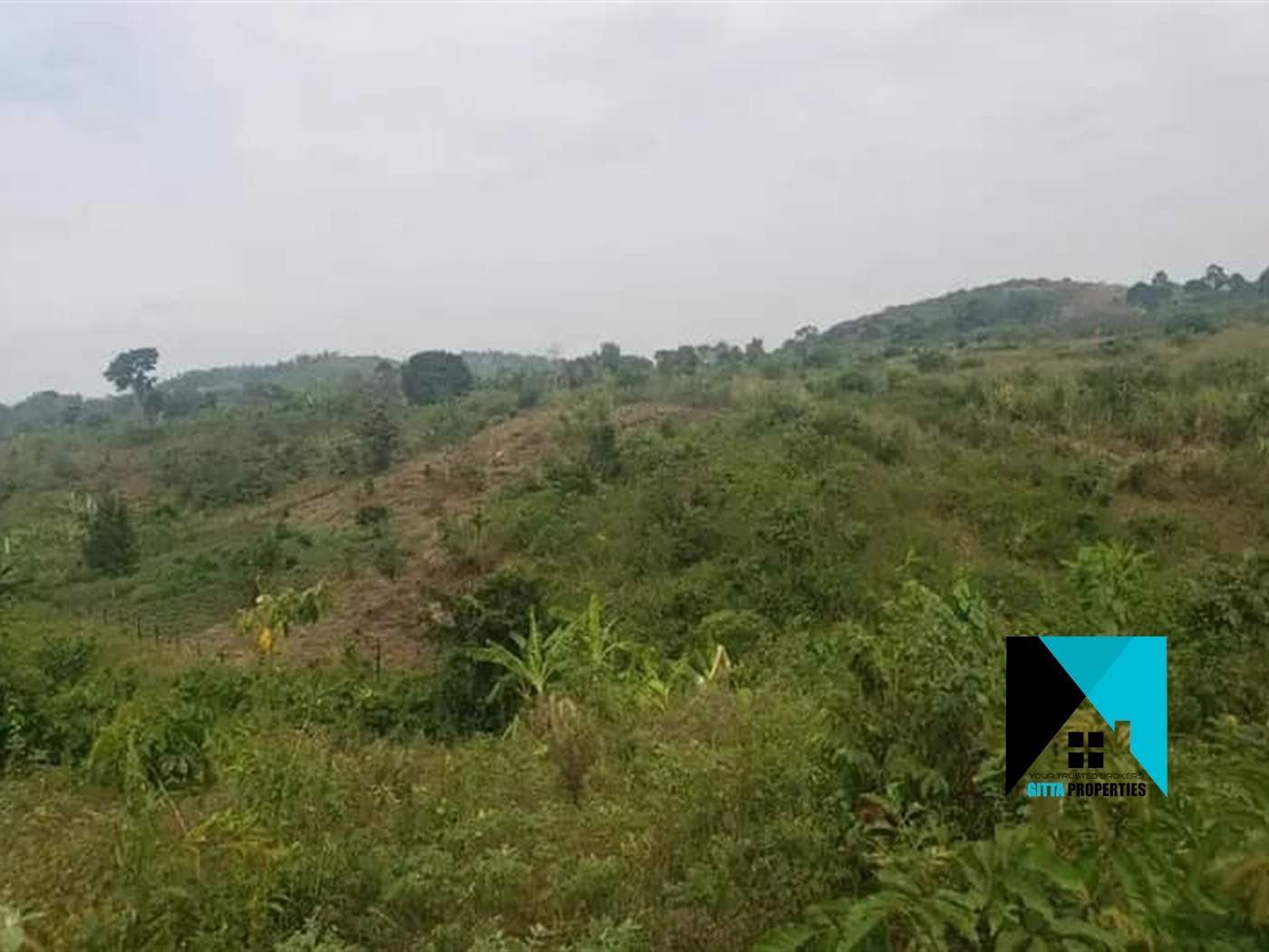 Multipurpose Land for sale in Nyenga Buyikwe