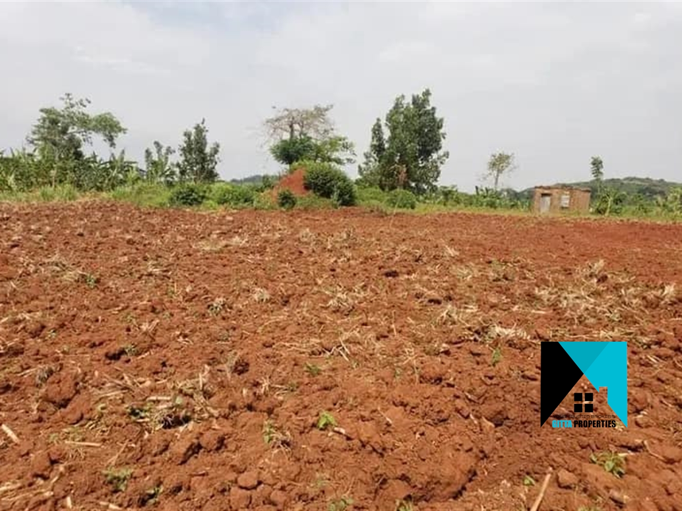 Multipurpose Land for sale in Nyenga Buyikwe