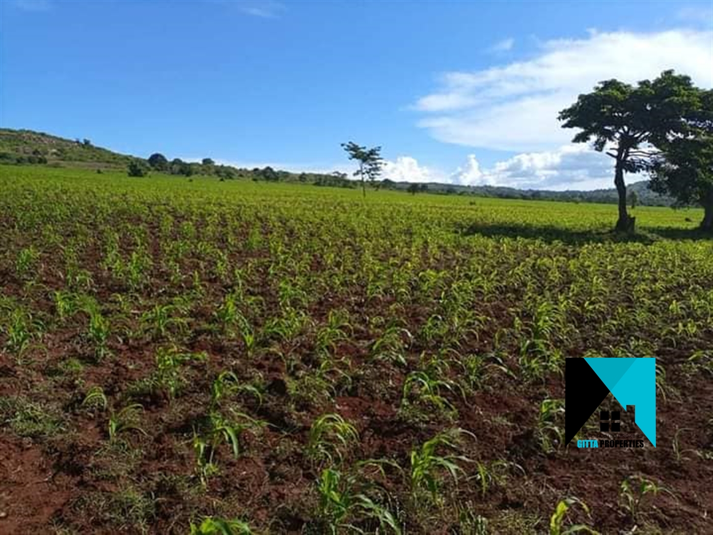 Multipurpose Land for sale in Nyenga Buyikwe