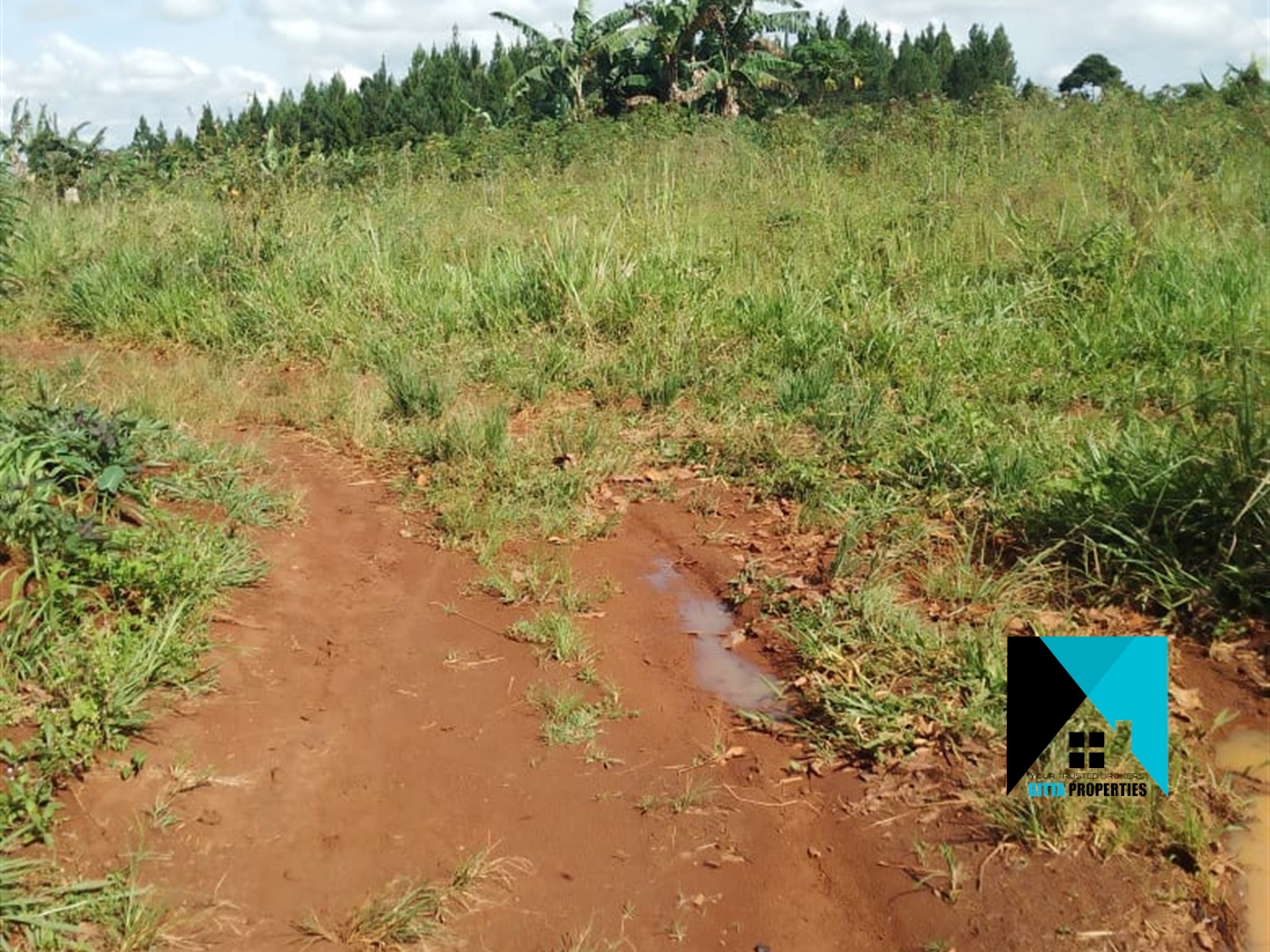 Multipurpose Land for sale in Wabitungulu Luweero