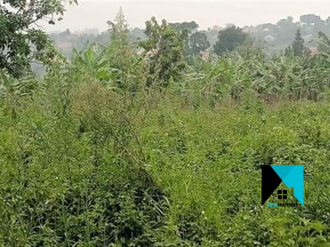 Multipurpose Land for sale in Wabitungulu Luweero