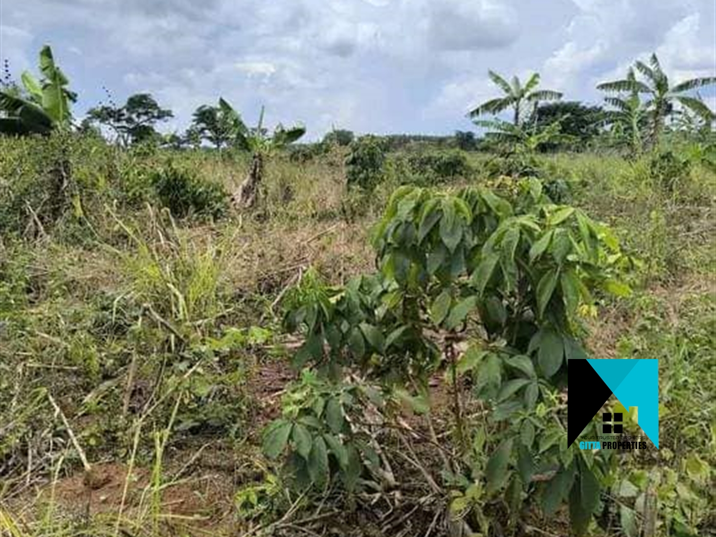 Multipurpose Land for sale in Kakooge Nakasongola