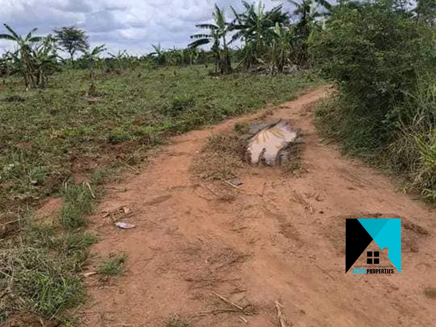 Multipurpose Land for sale in Kakooge Nakasongola