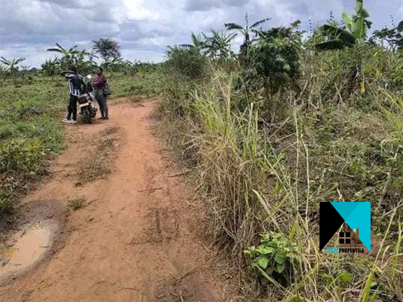 Multipurpose Land for sale in Kakooge Nakasongola