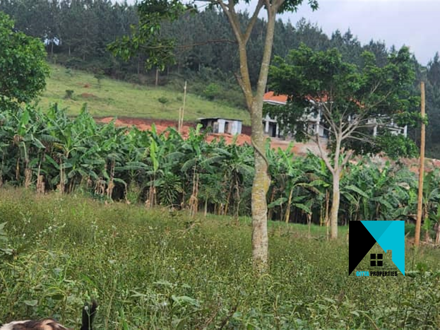 Multipurpose Land for sale in Kabanyolo Wakiso