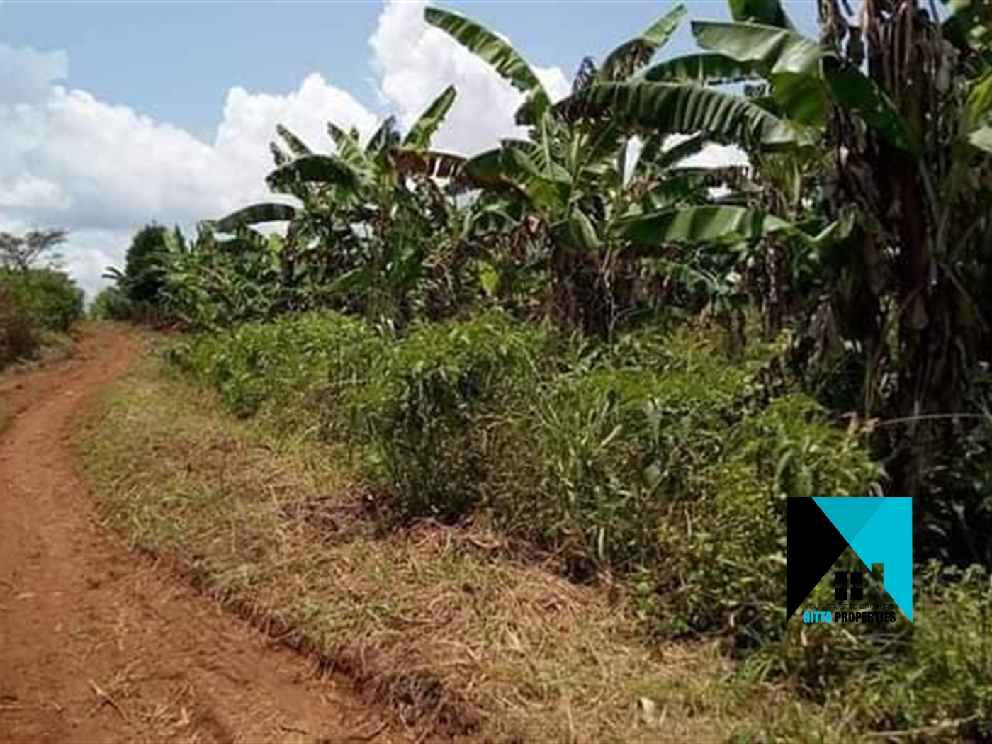 Multipurpose Land for sale in Kanoni Gomba