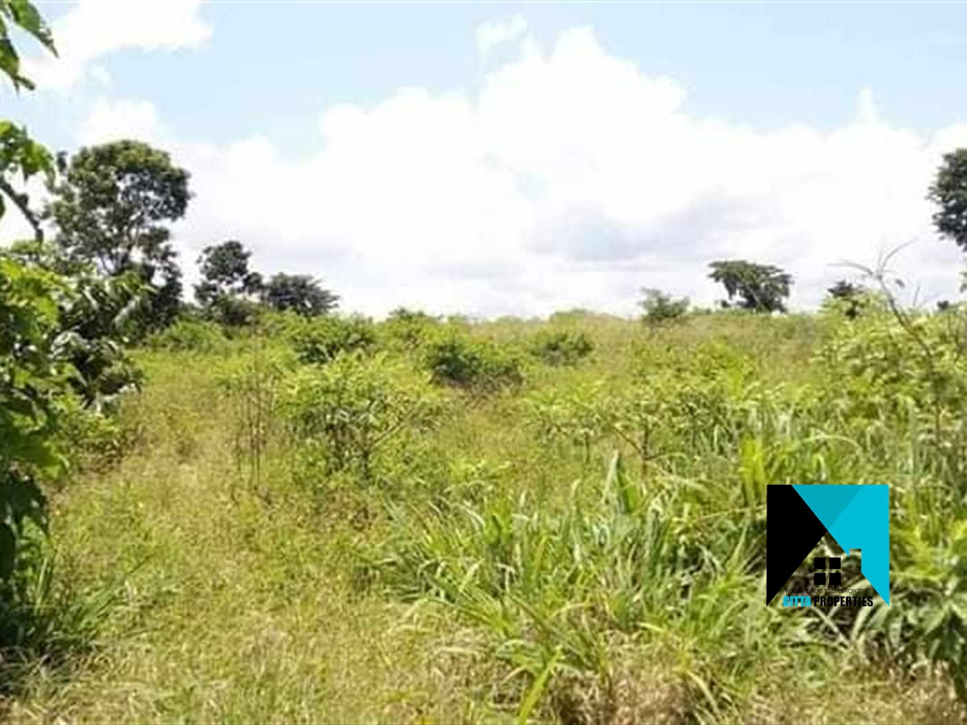 Multipurpose Land for sale in Kanoni Gomba