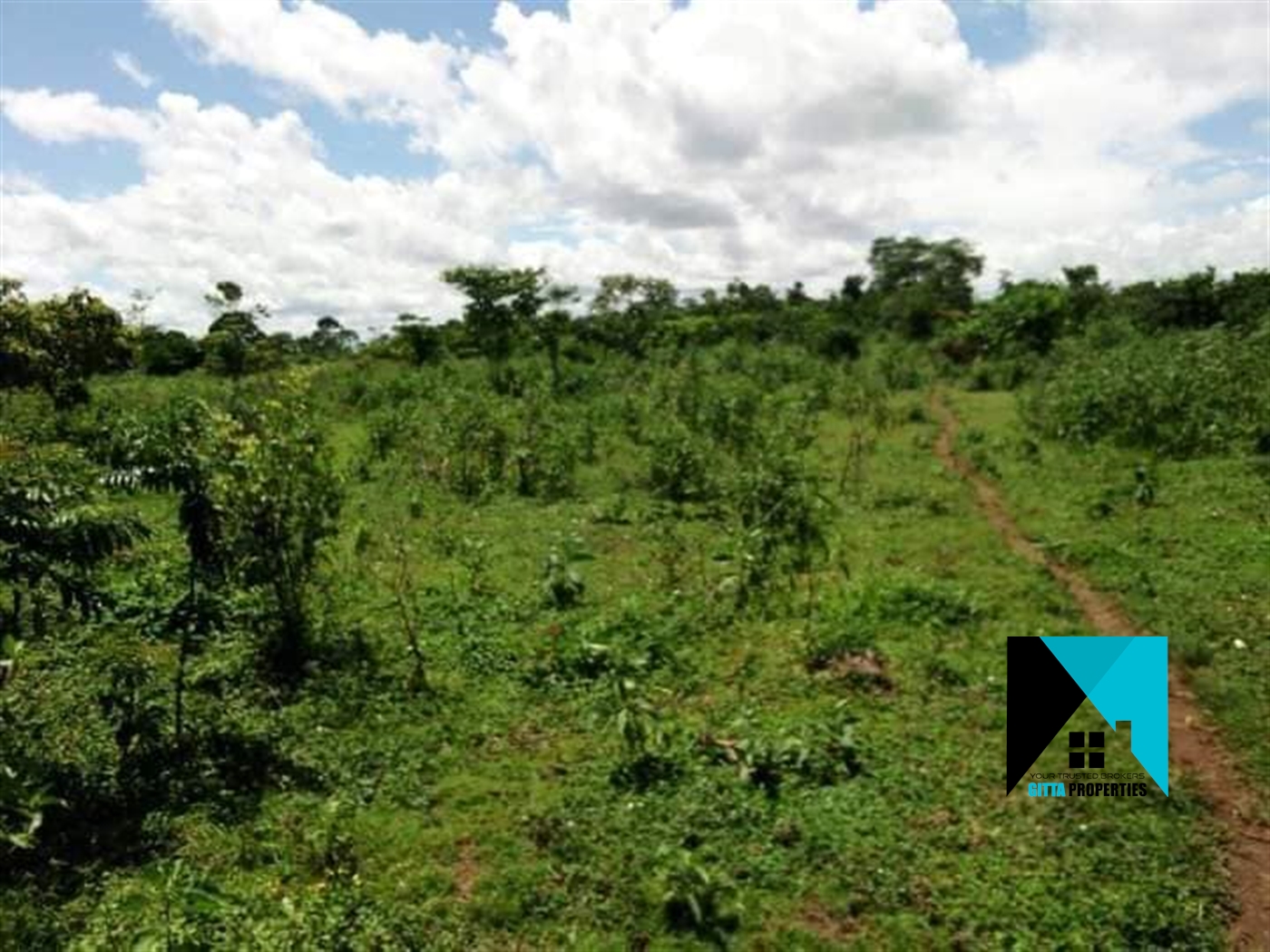 Multipurpose Land for sale in Kakindu Mubende