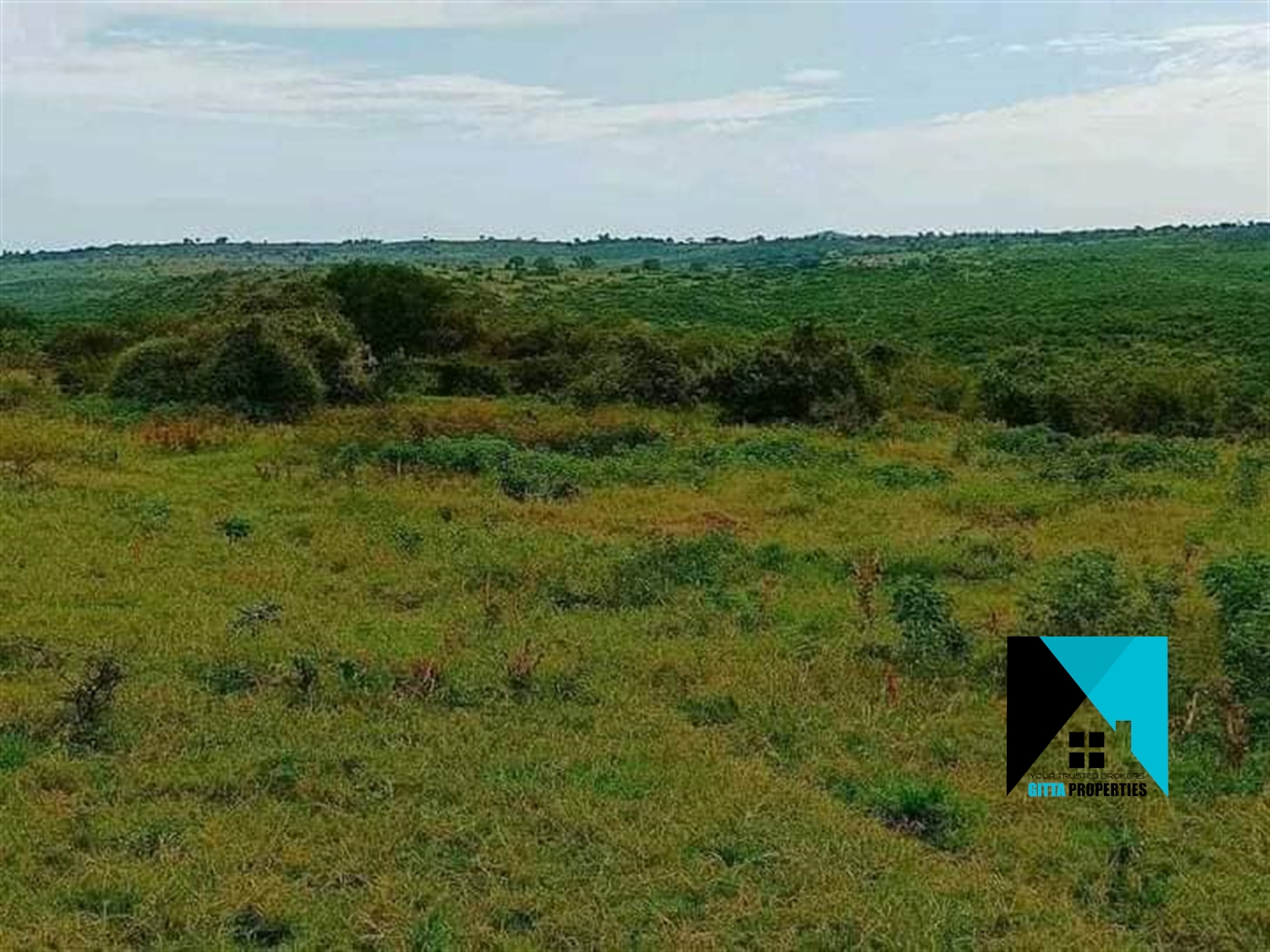 Multipurpose Land for sale in Kakindu Mubende