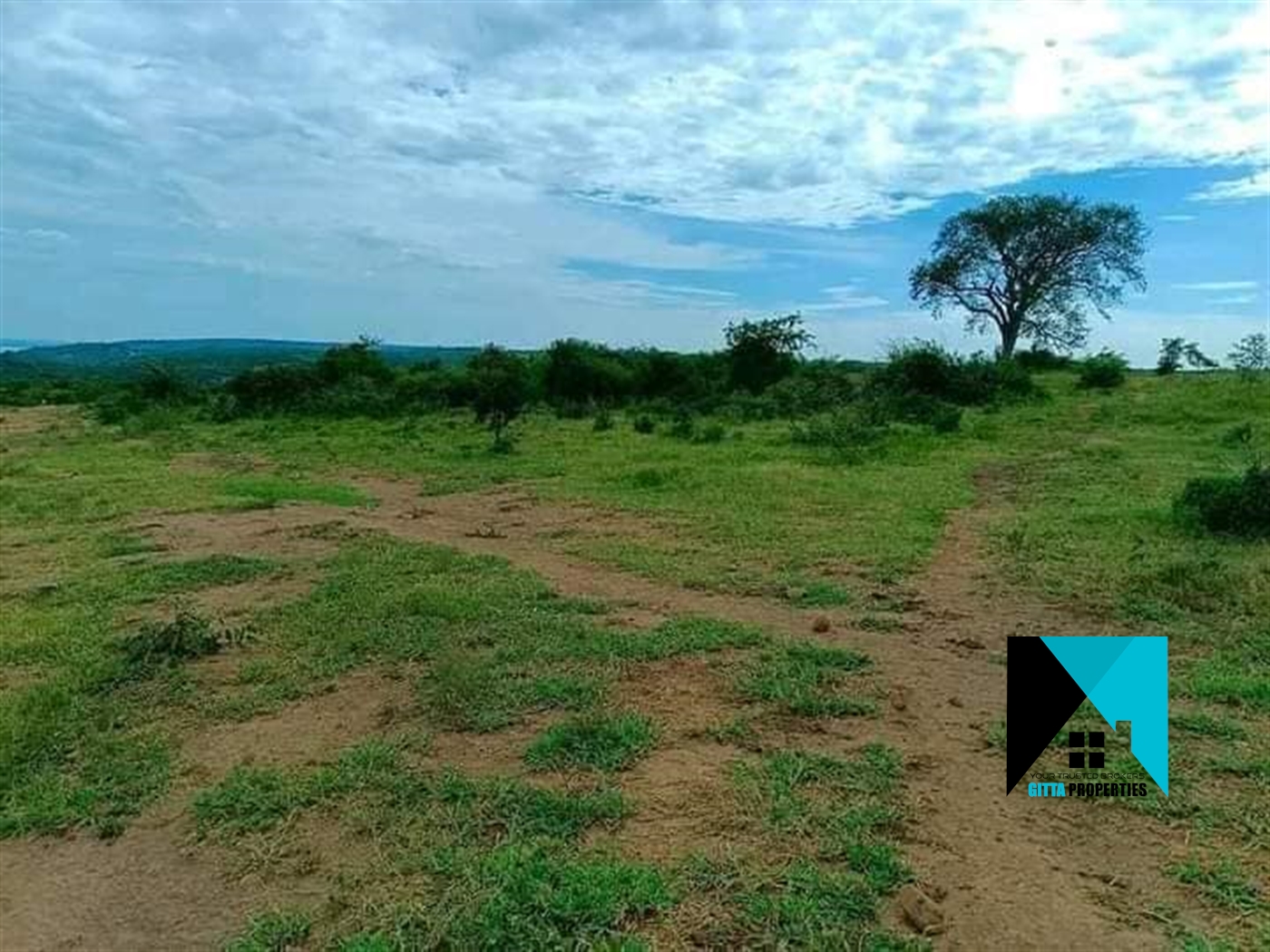 Multipurpose Land for sale in Kakindu Mubende