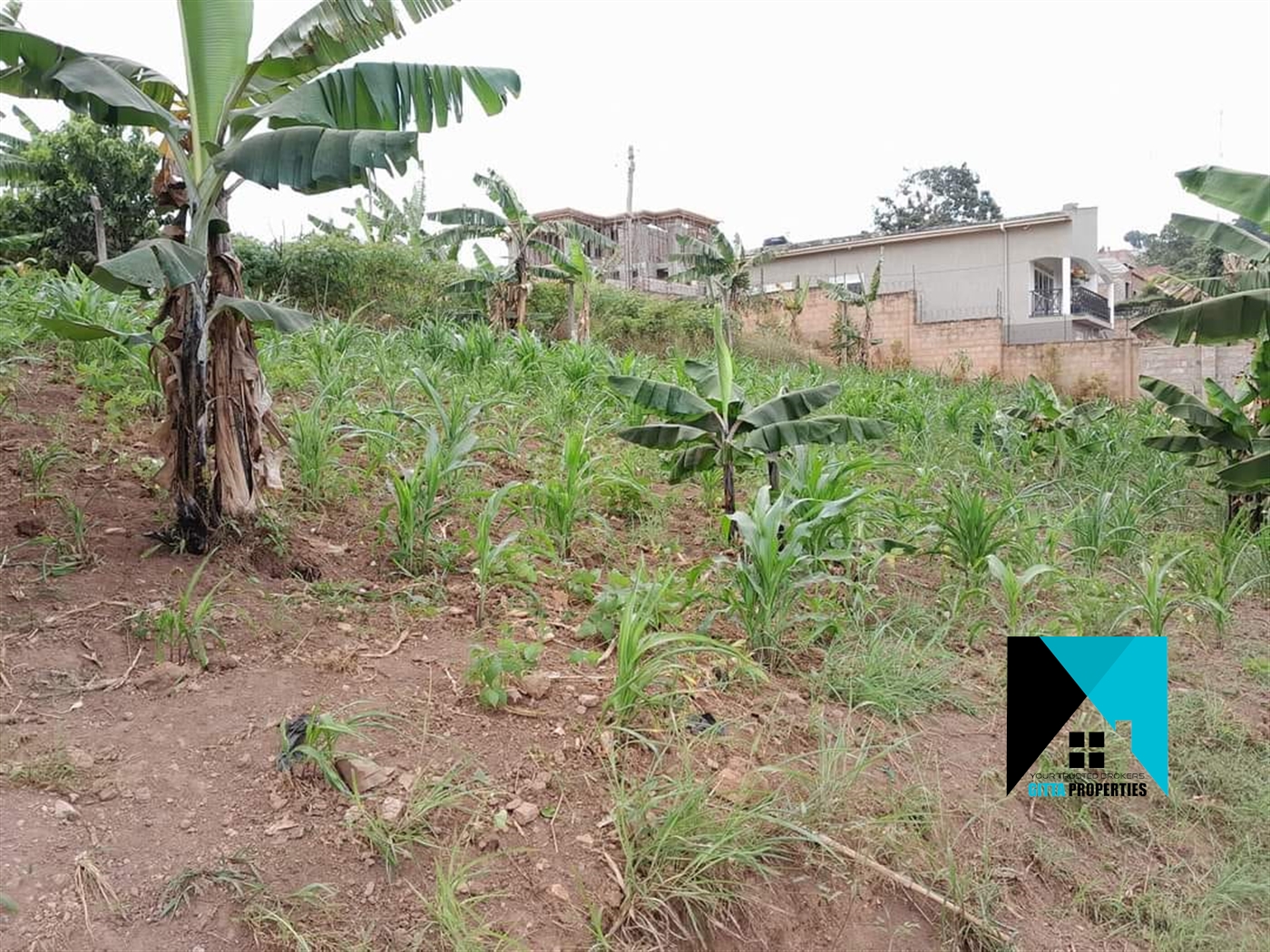 Residential Land for sale in Namugongo Wakiso