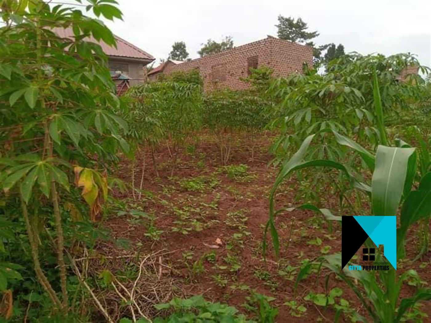 Residential Land for sale in Kiyunga Mukono