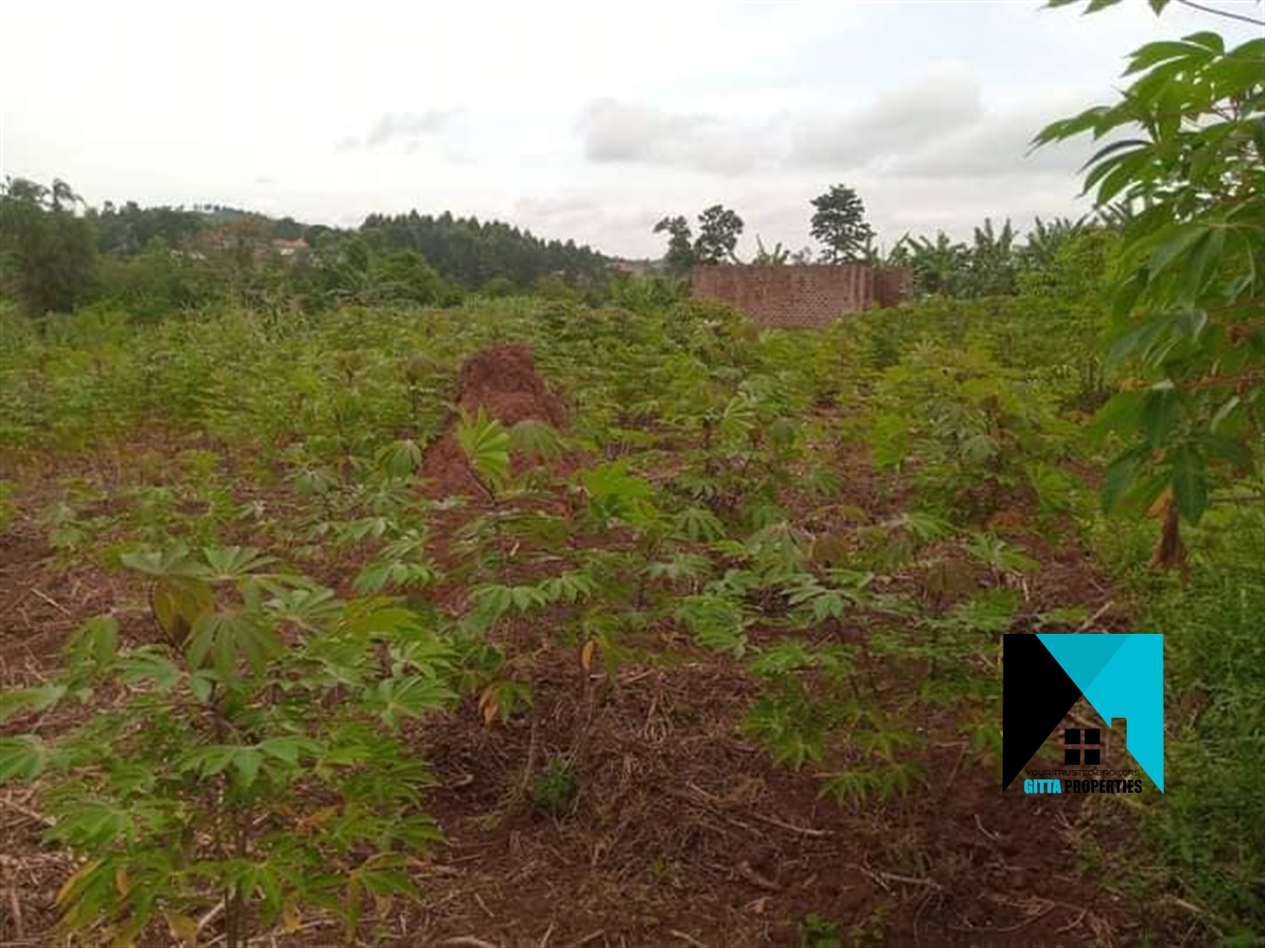 Residential Land for sale in Kiyunga Mukono