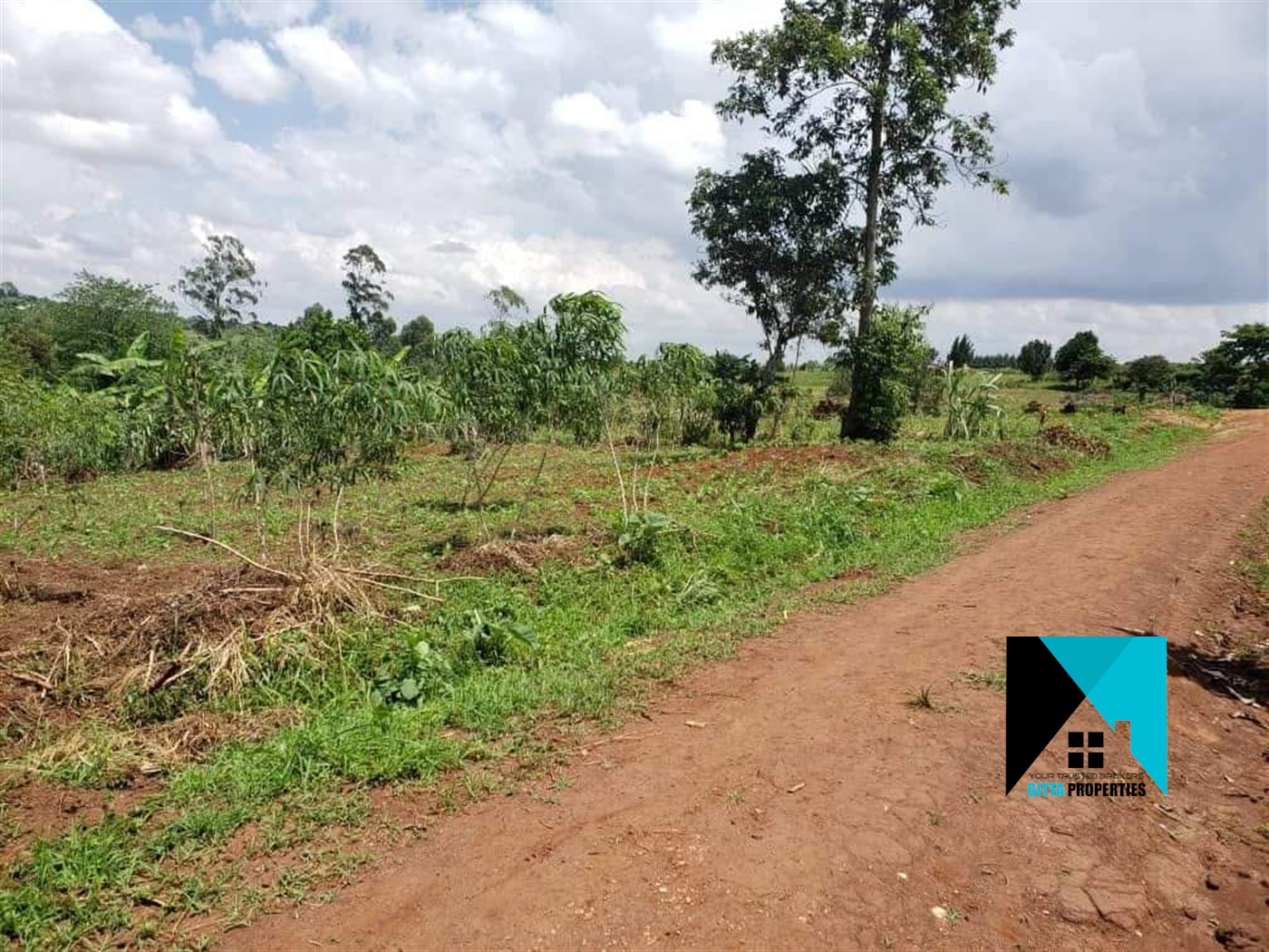 Residential Land for sale in Bukeelele Mukono